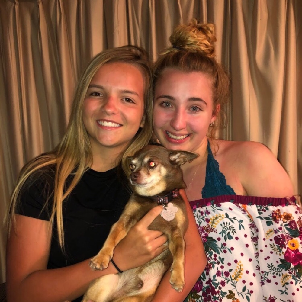 Meet your Posher, Alex